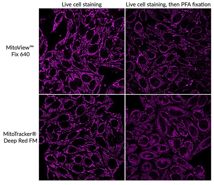 membrane-rejection-eosin-behavior-analysis-cm3hqww8