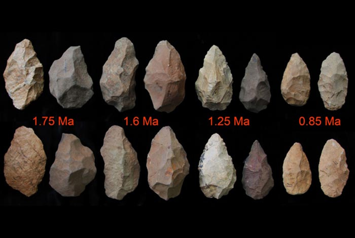 prehistoric stone tools environment