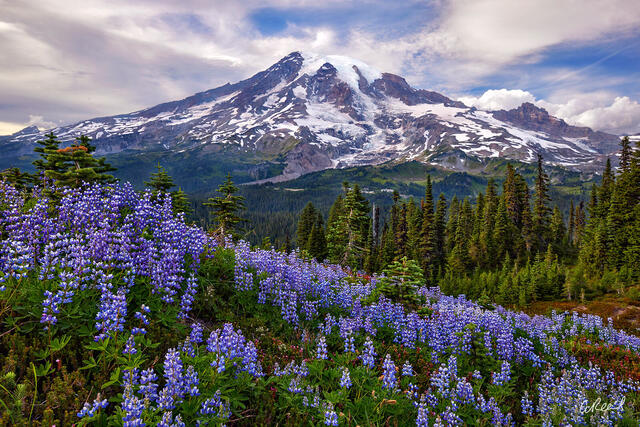 scenic photograph of art gallery or natural landscapes