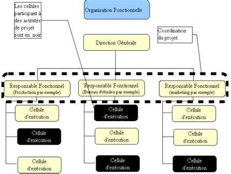 bureau organisation etude