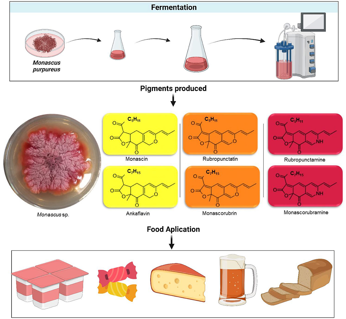 microbial fermentation process, colorful food products