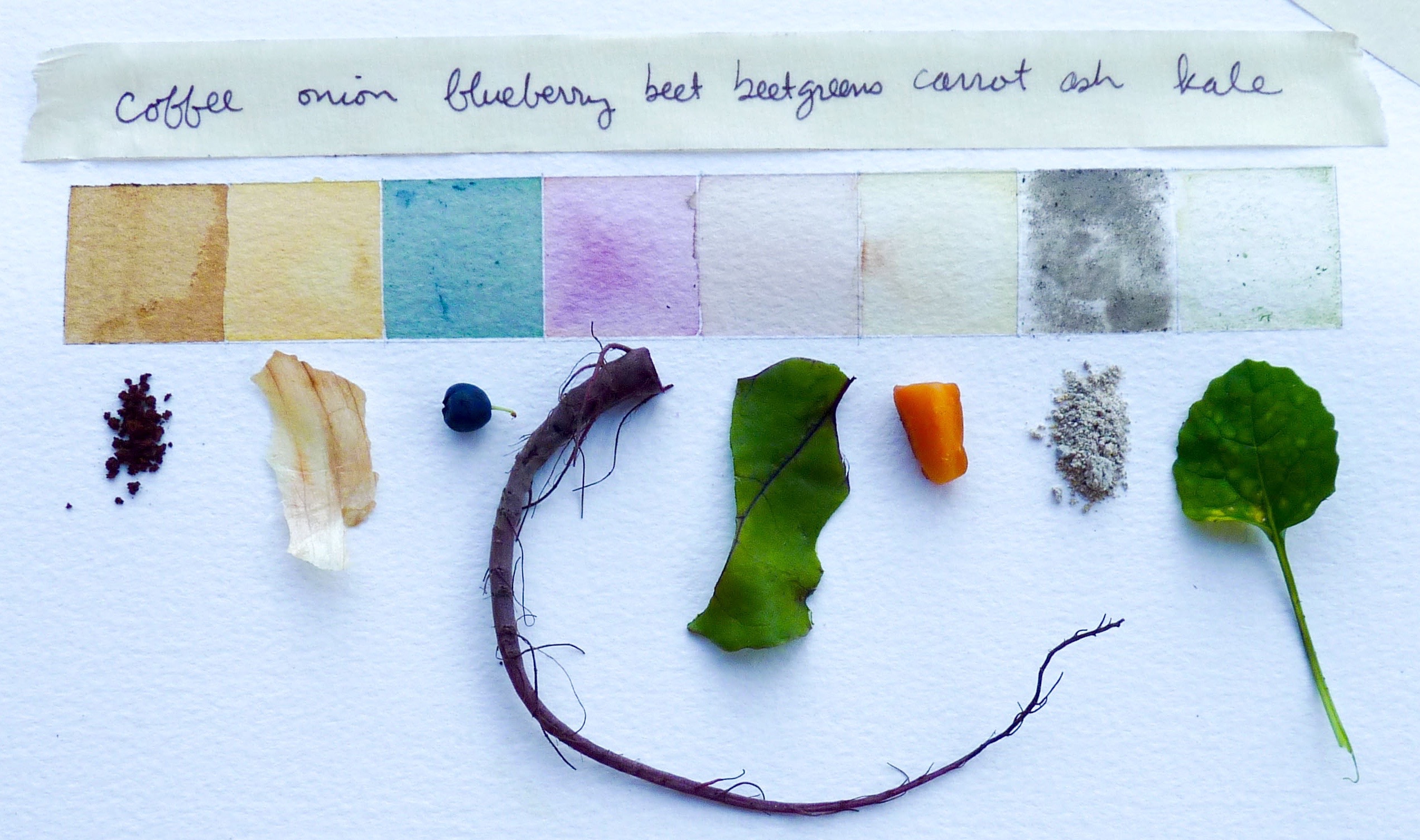 vibrant natural pigment production setup