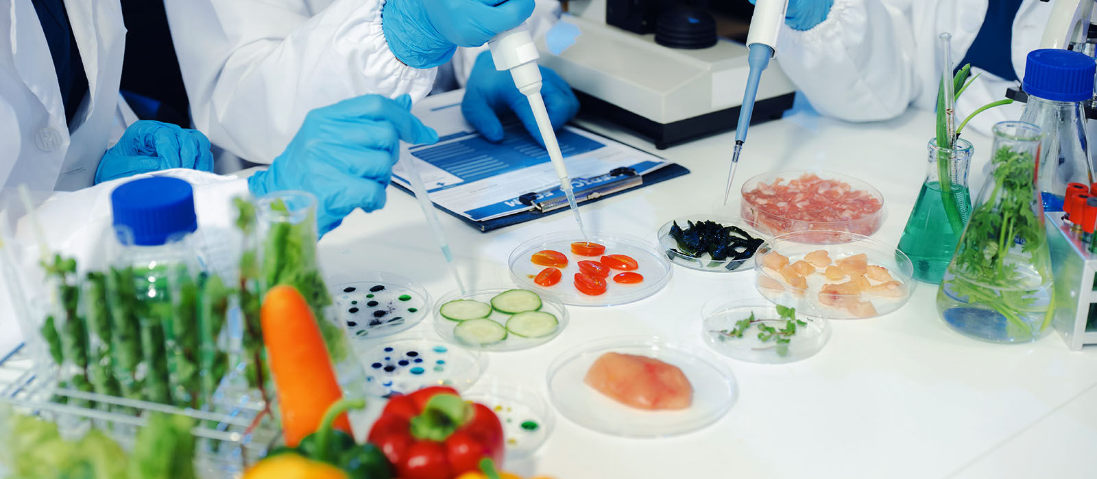 laboratory equipment food microbiology