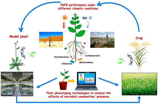 agricultural microbes field laboratory