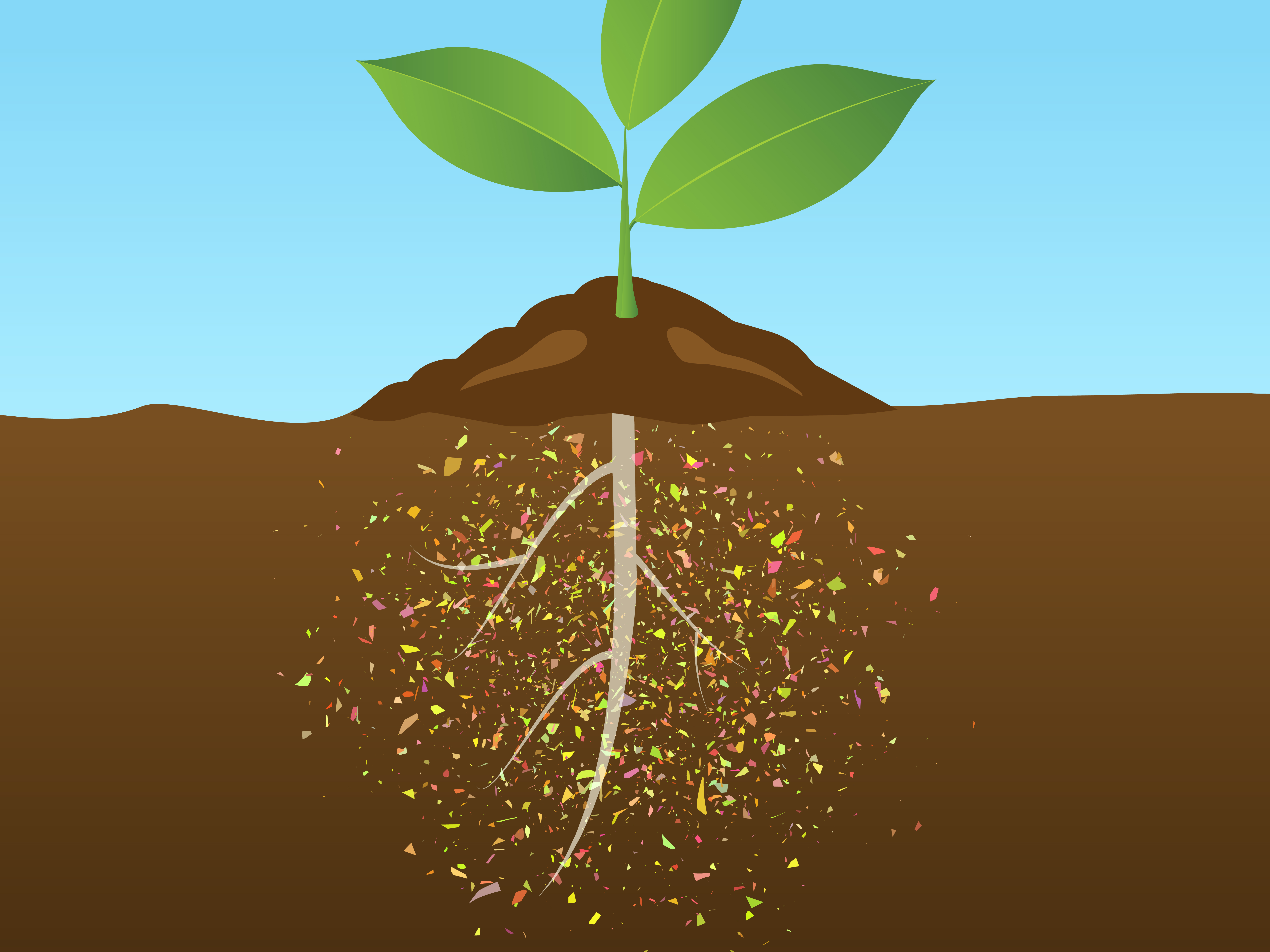 plants microplastics toxicity