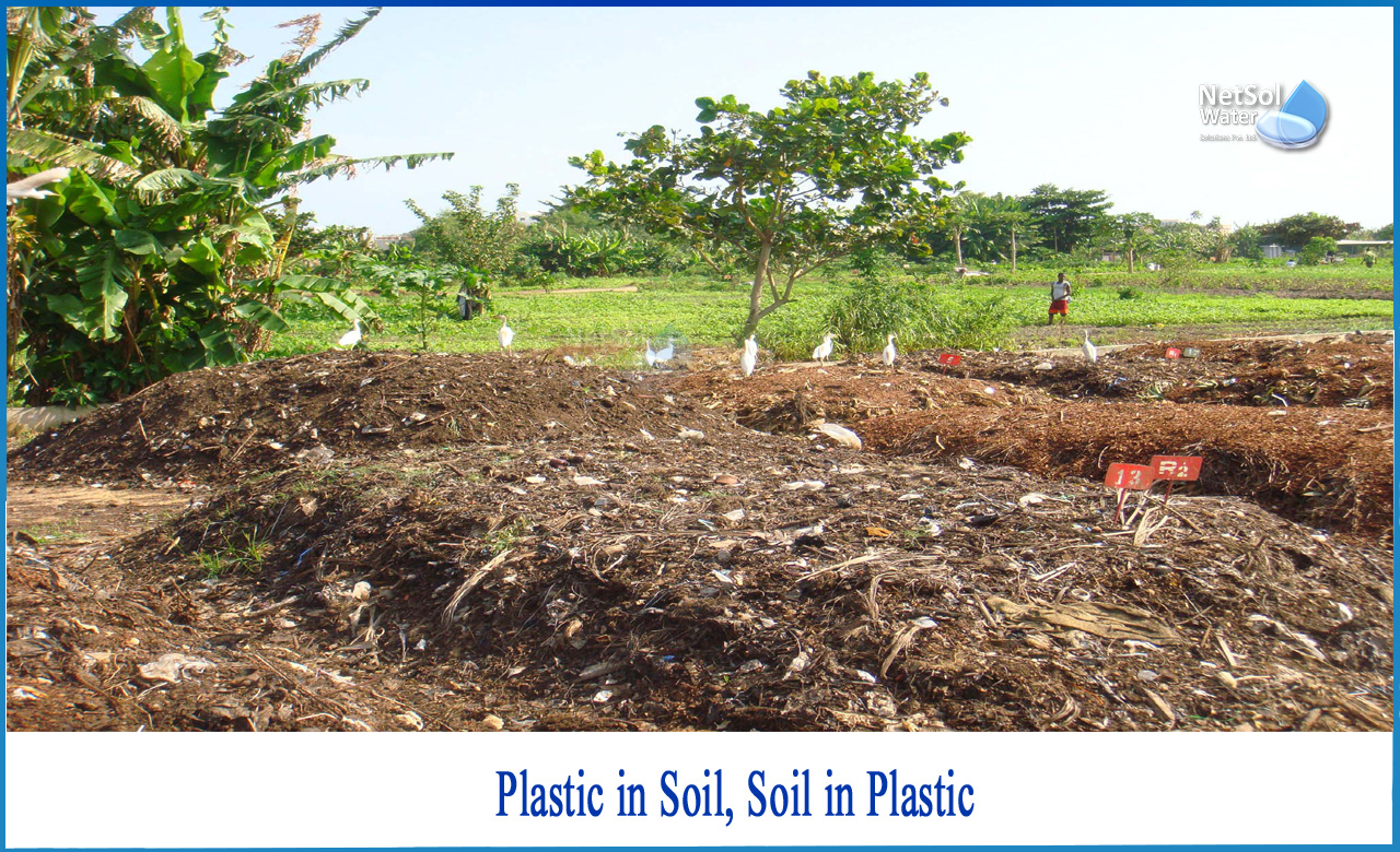 terrestrial plants damaged by plastics