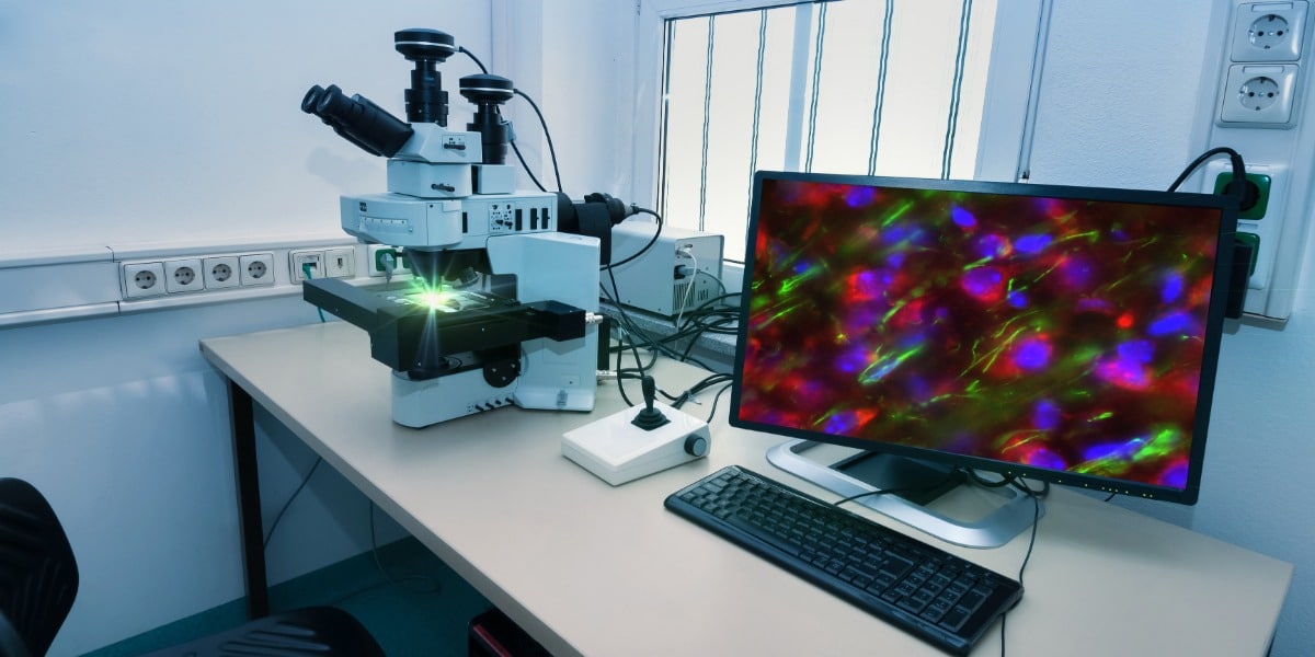 fluorescence microscopy lab setup
