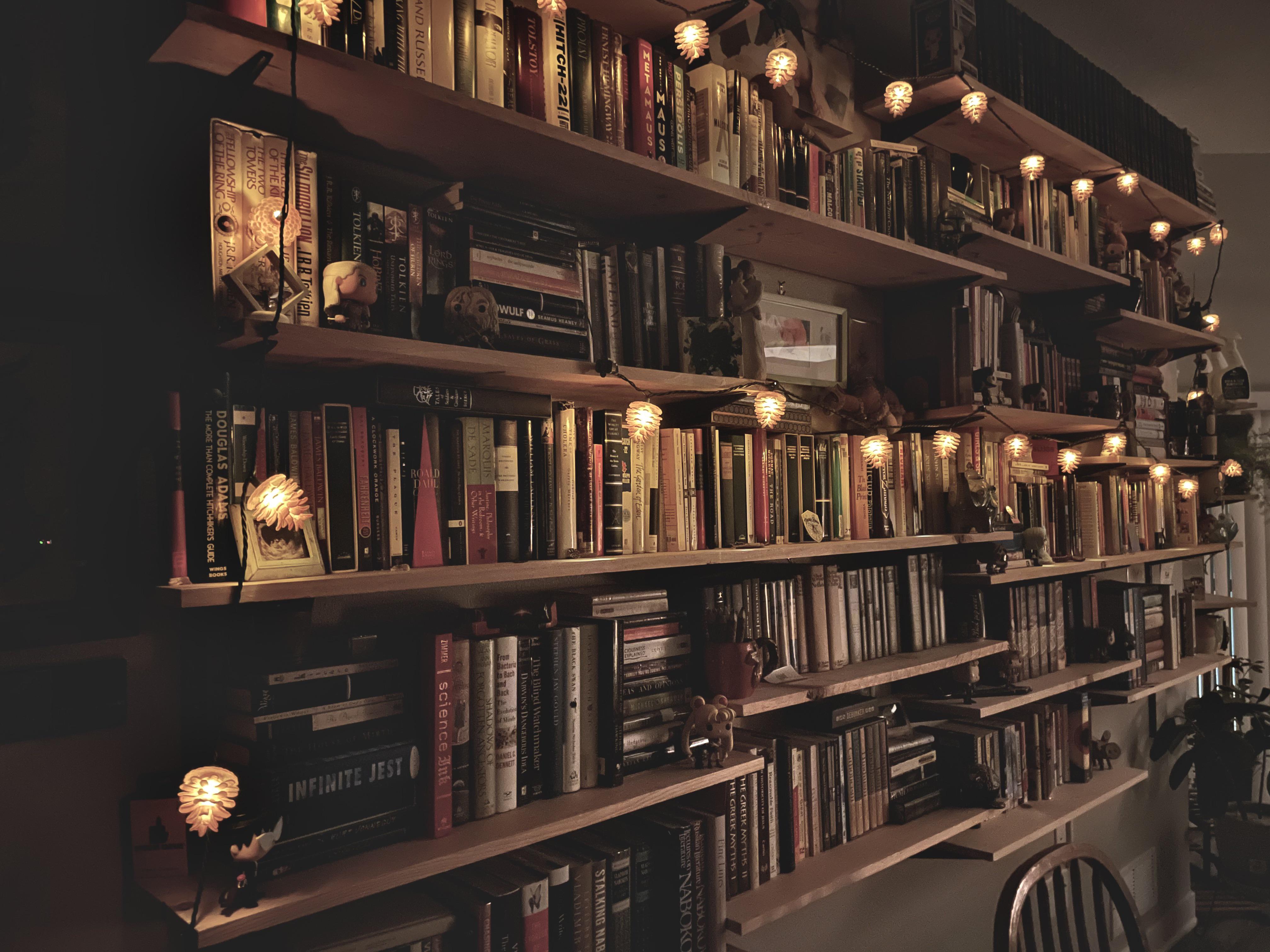 library bookshelves night