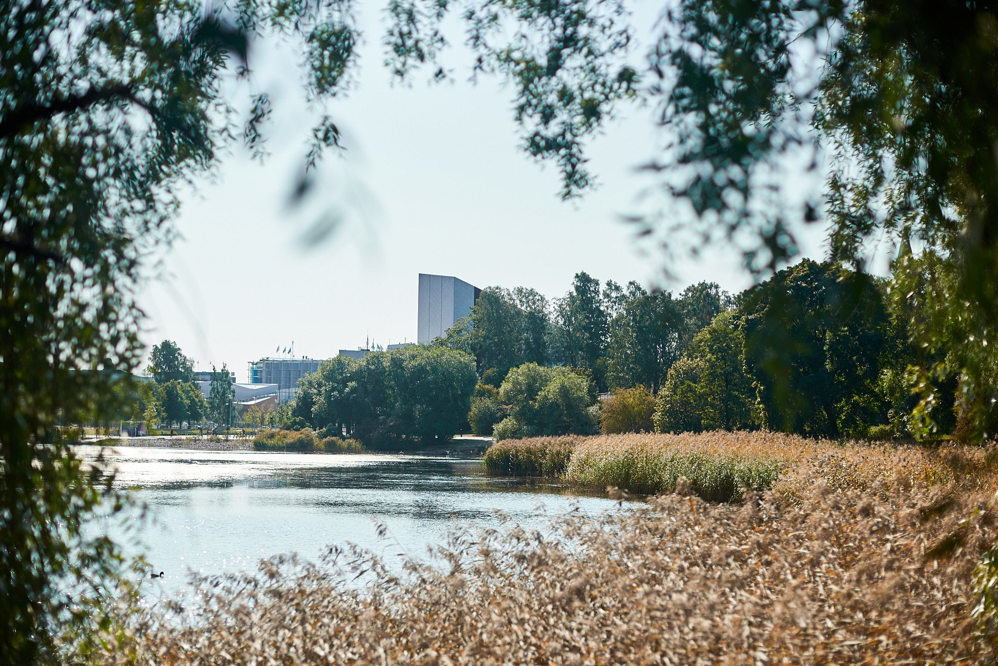 green urban landscape, coastal archipelago, Helsinki nature