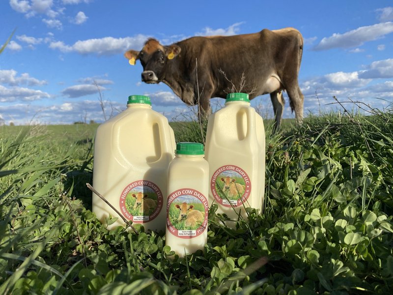 milk dairy products on farm