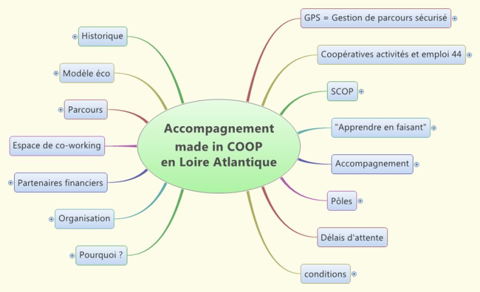 Exemple de mind map utilisée pour un accompagnement en coopérative