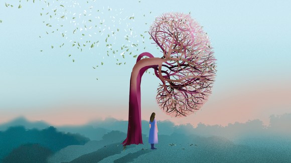 kidney treatment and nature