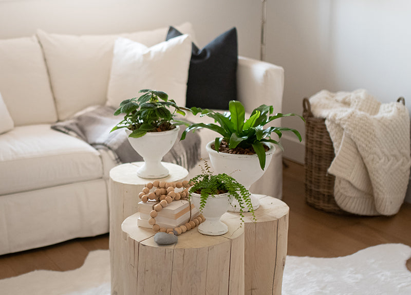 minimalist home decor natural elements
