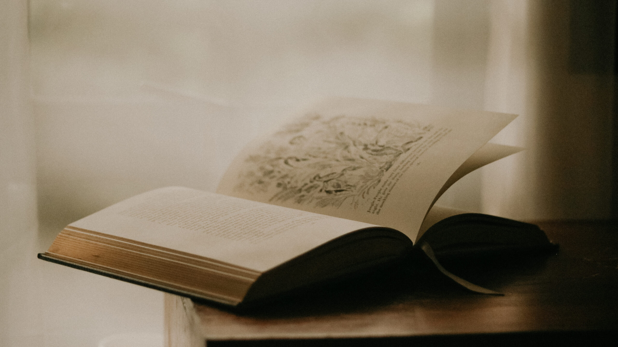 mistakes, learning, open book, nature background