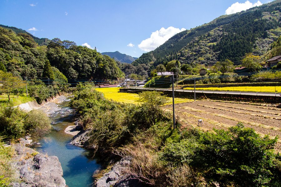 miyazaki-style-nature-scene-description-2wt8ck64
