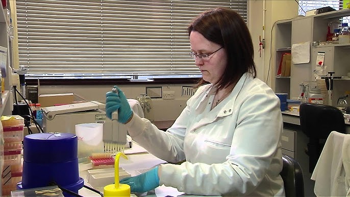scientists working in a laboratory with various model organisms