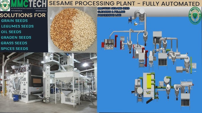 advanced agricultural seed processing