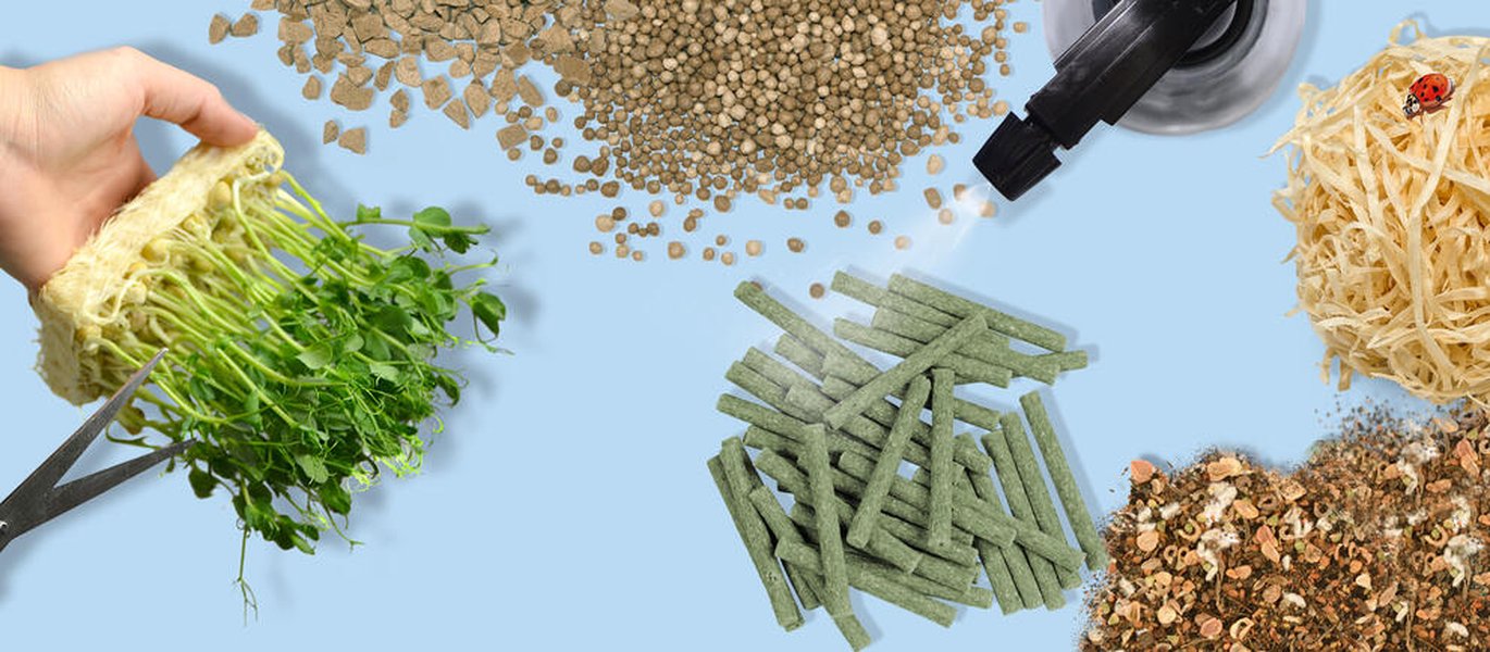 modernizing-plant-product-development-iuf4oncv