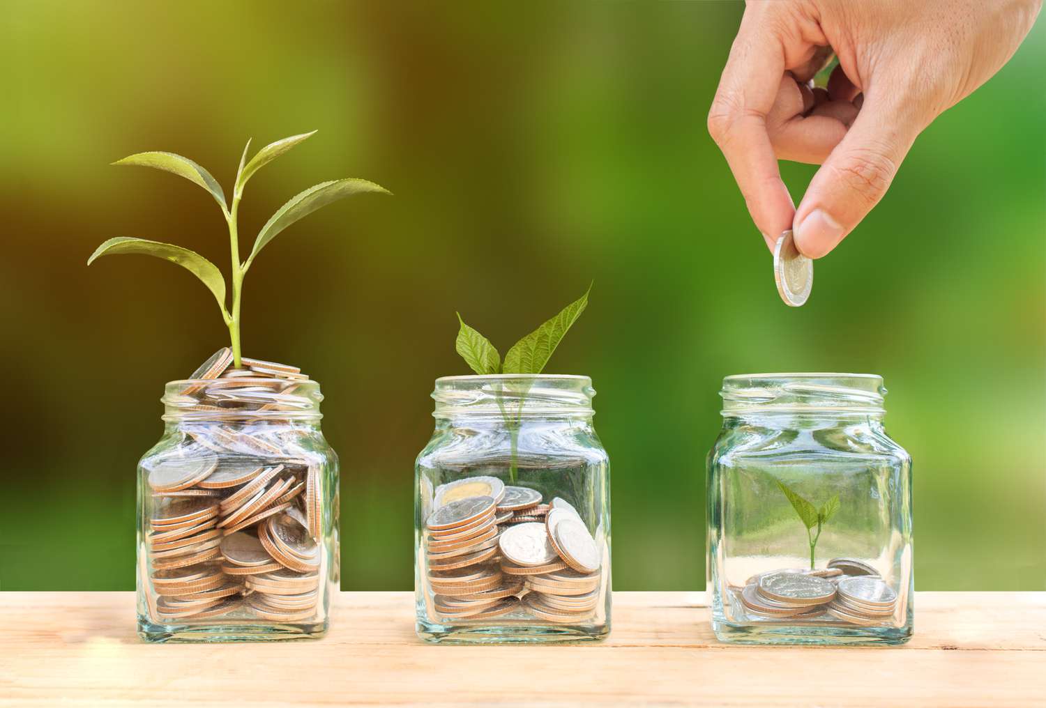 money saving advice photography