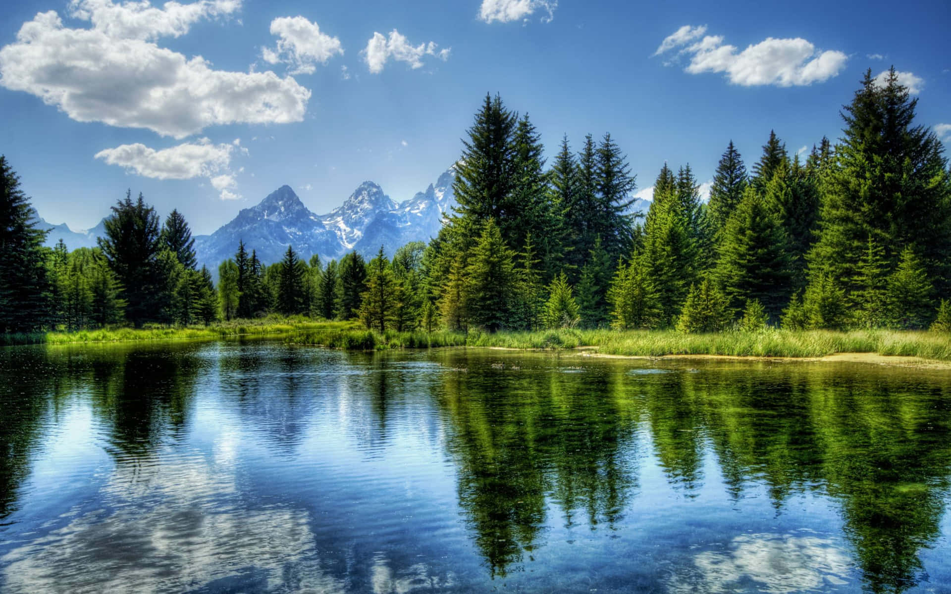 serene natural landscapes