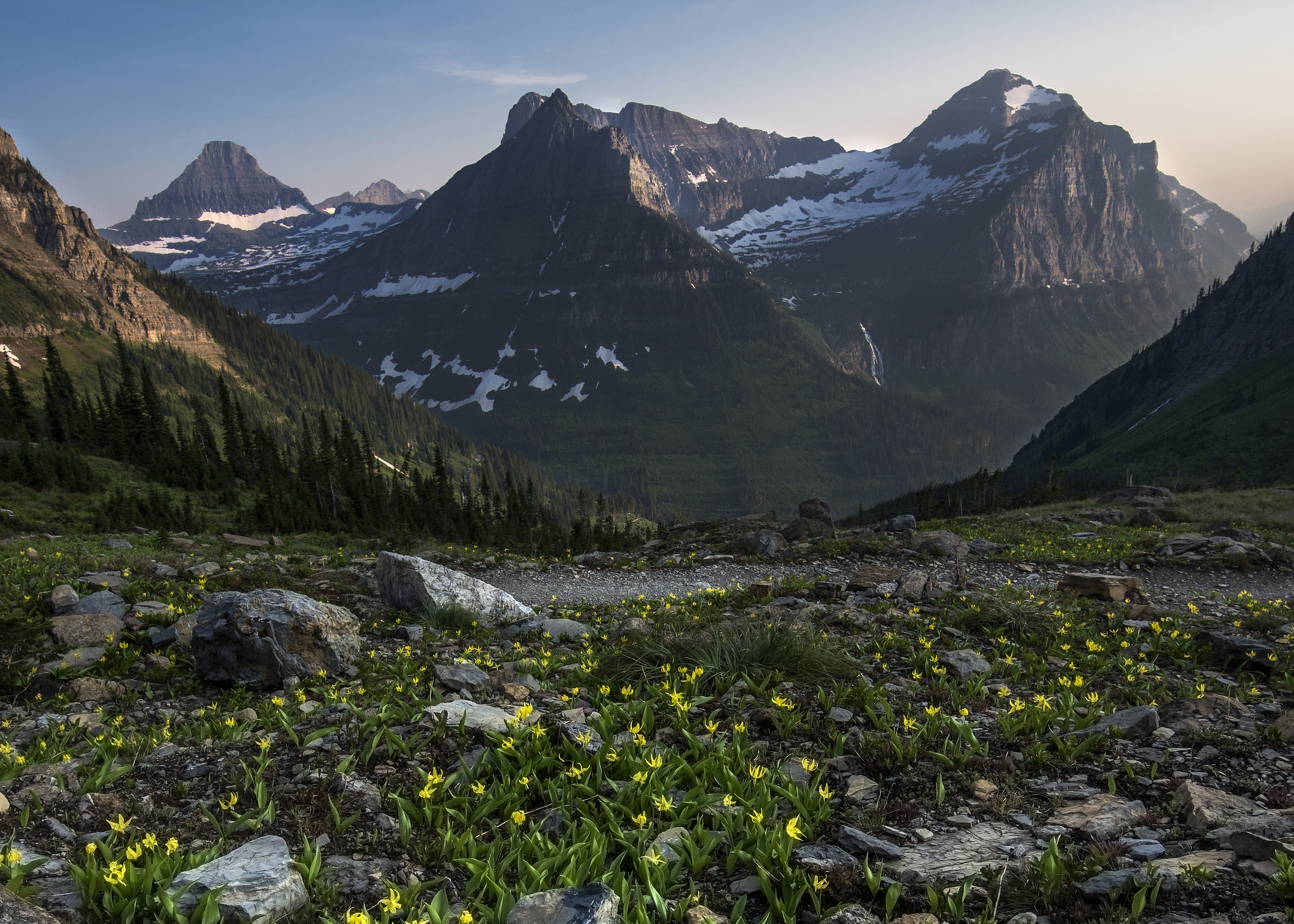 mountain landscape with diverse vegetation