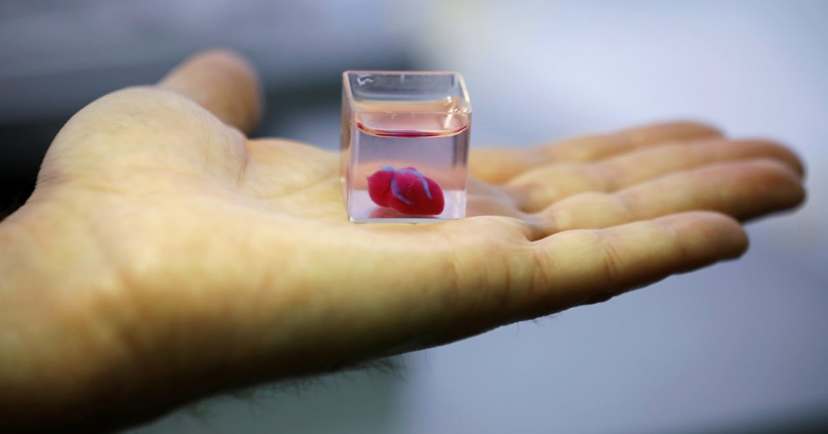 3d printed human heart tissue