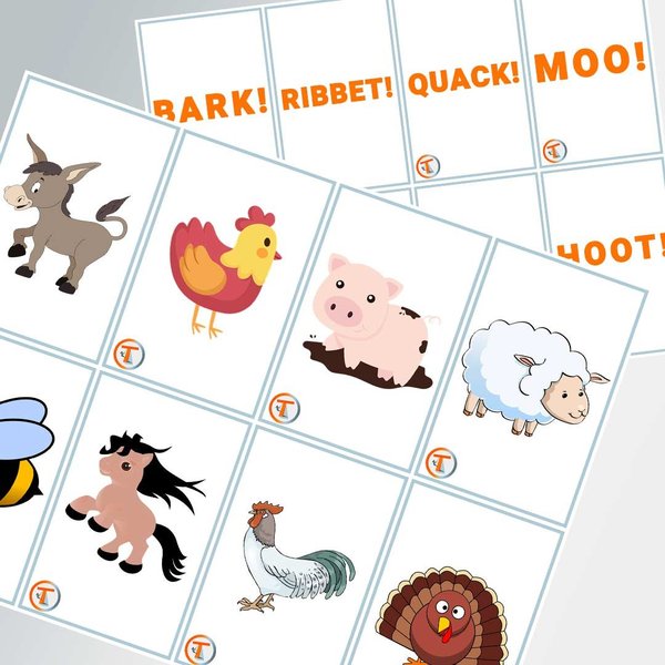 multilingual-educational-web-app-s5sskzux