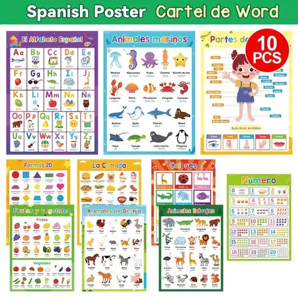 multilingual-educational-website-code-9ynf7ugr