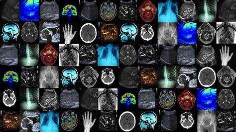 medical imaging textual data