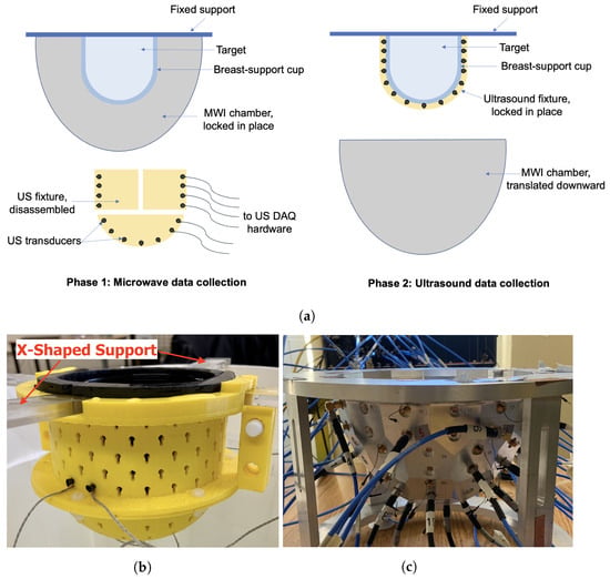 microwave imaging equipment and breast phantoms