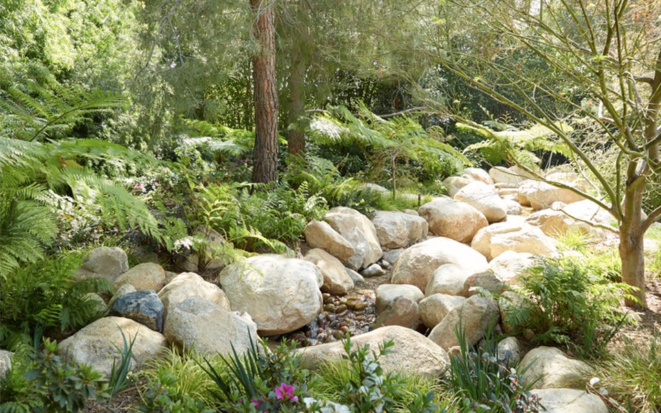 sustainable nature landscape