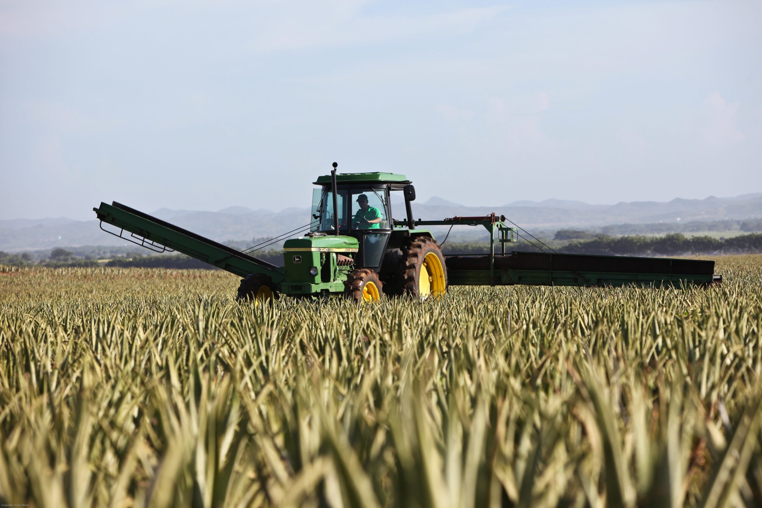 agricultural field with modern technology