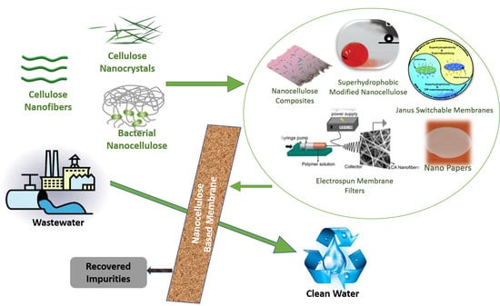 nanocellulose material, chemical lab setup, modified cellulose structures