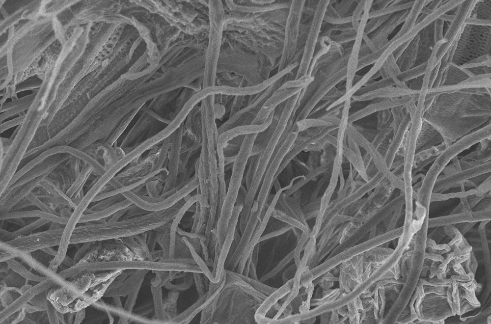nanocellulose fibers natural materials
