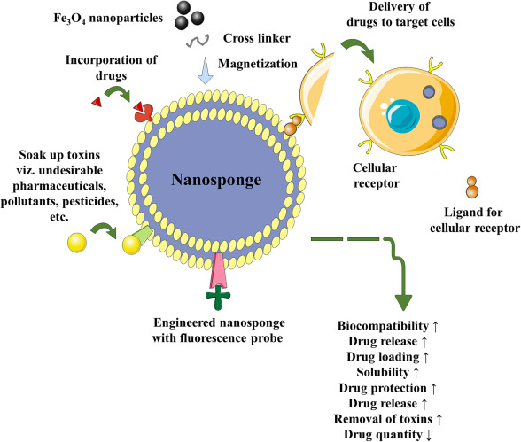 nanosponges, drug delivery systems, porous materials