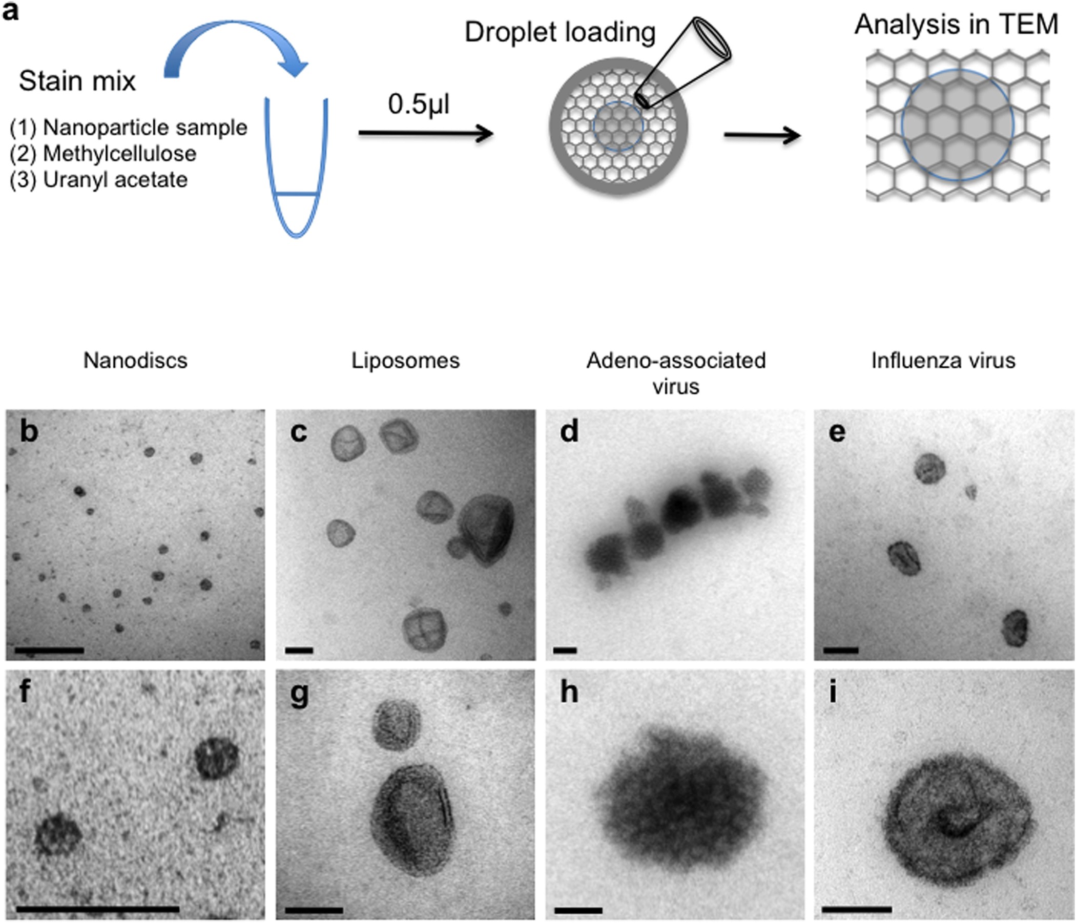 microscopic nanomaterial structures