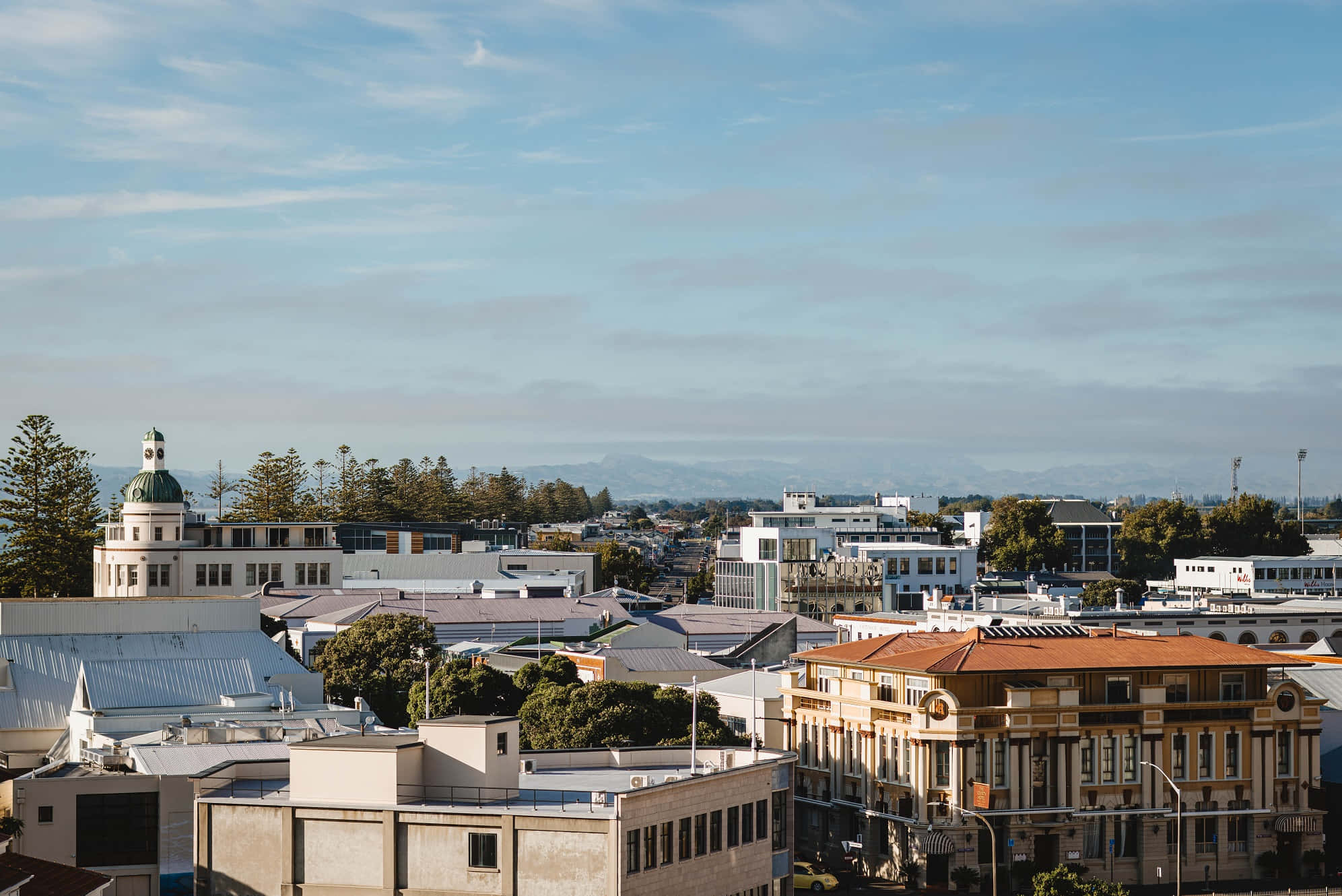 napier cityscape with residential houses
