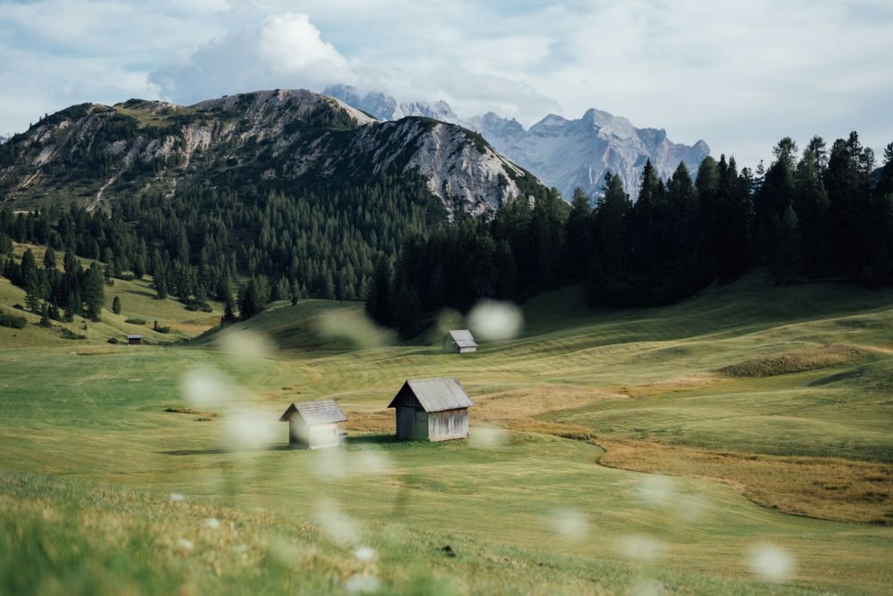 rural landscape with literary books