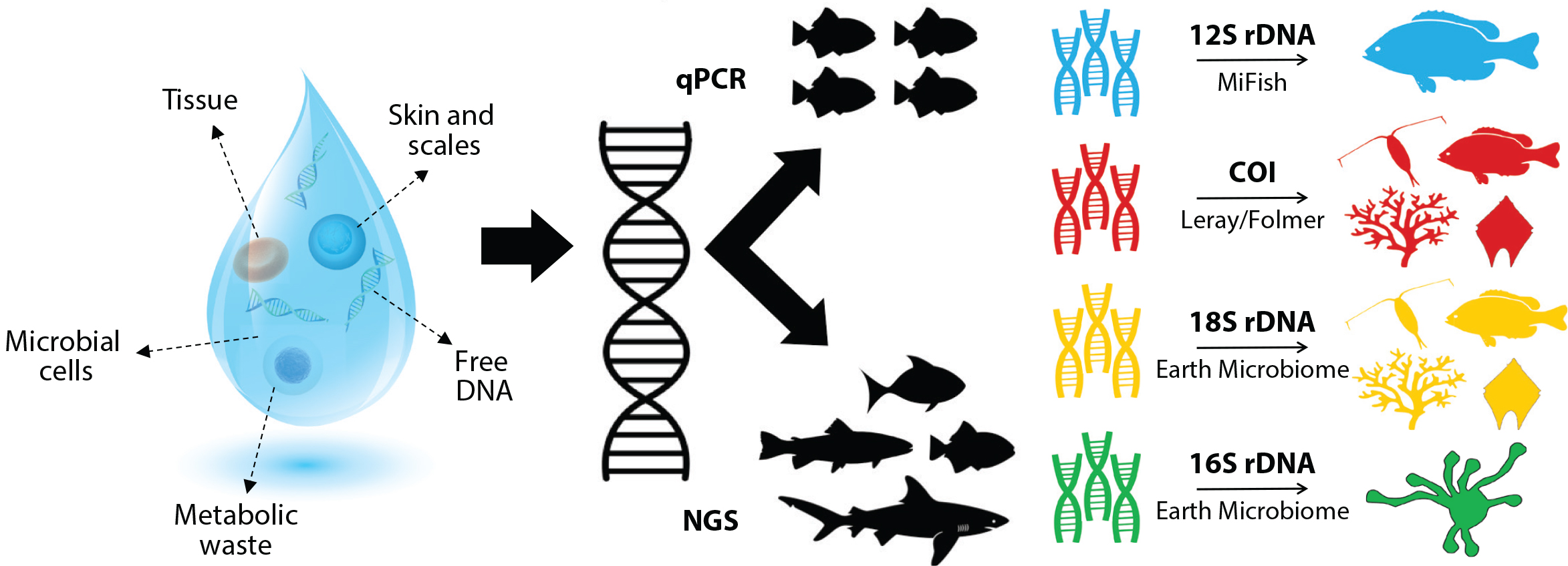 DNA and environment illustration