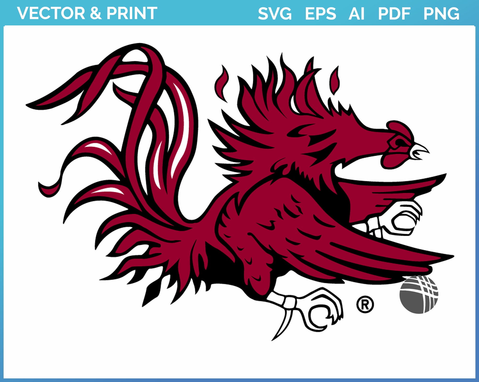 south carolina gamecocks logo