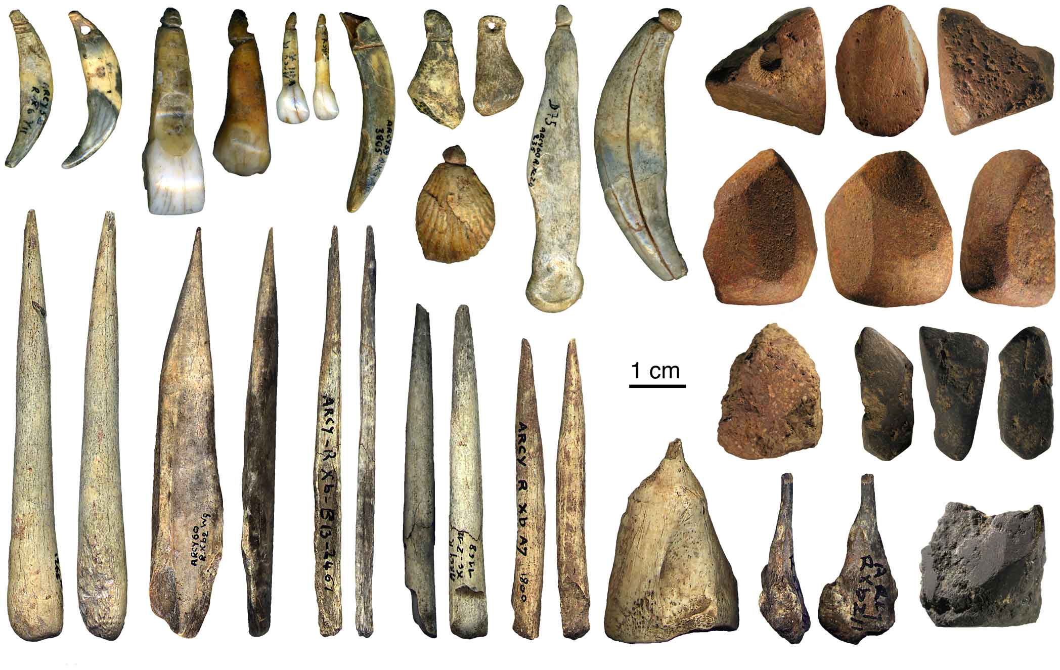 neanderthal tools cave art