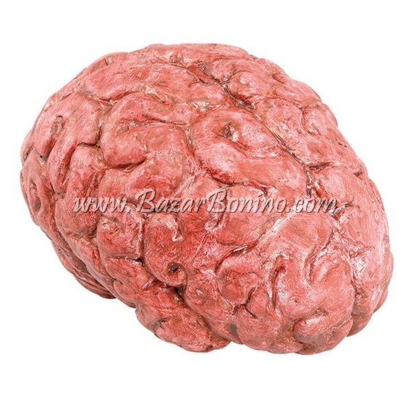 Real Human Brain