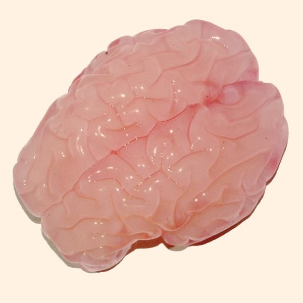 3D Printed Brain
