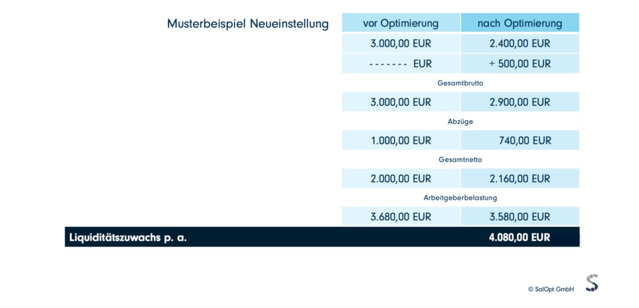 Grafische Darstellung von Anwendungsbeispielen der Nettolohnoptimierung