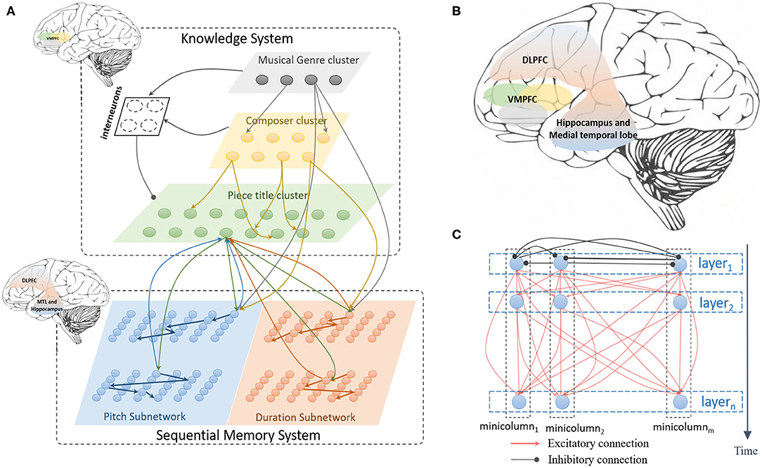 brain neural network approach models