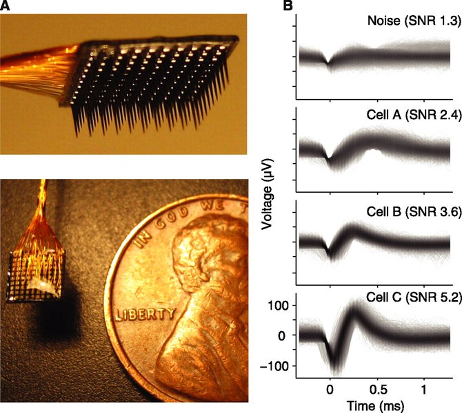 Comparison of MEA and Single Wire Recordings