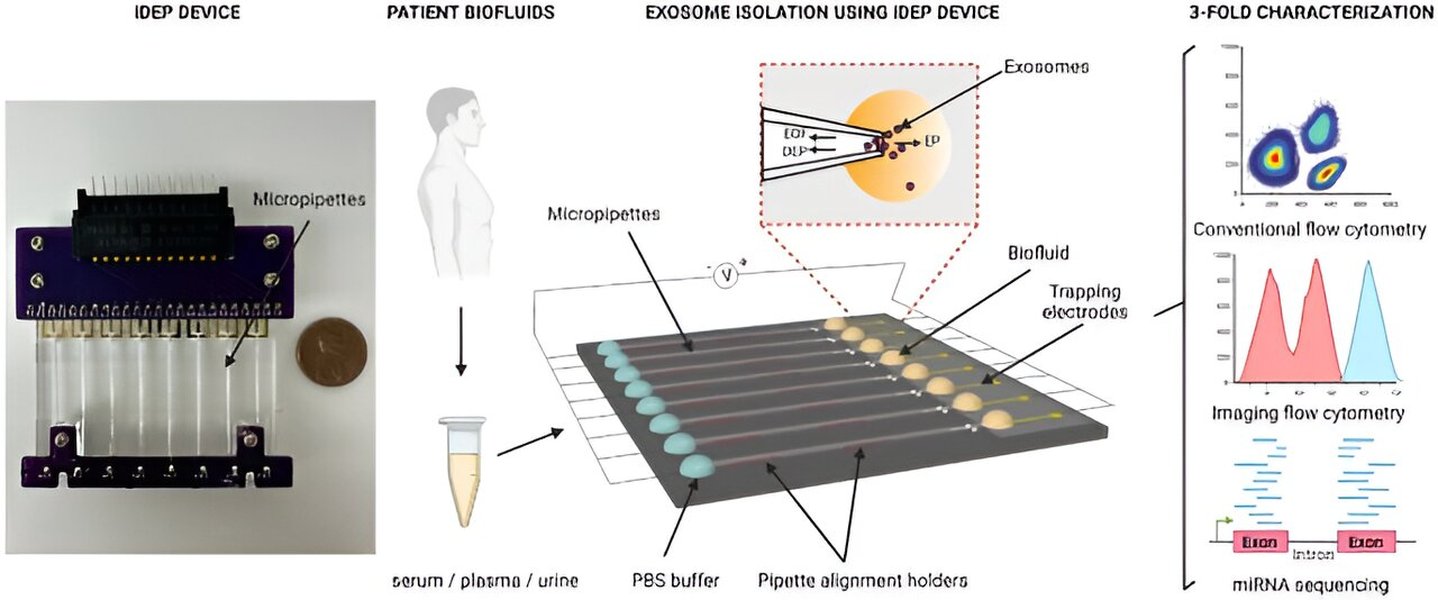 Rapid Purification of Circulating Small Extracellular Vesicles