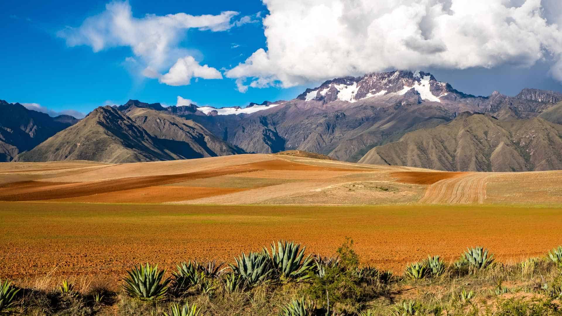 bolivian landscape financial reports