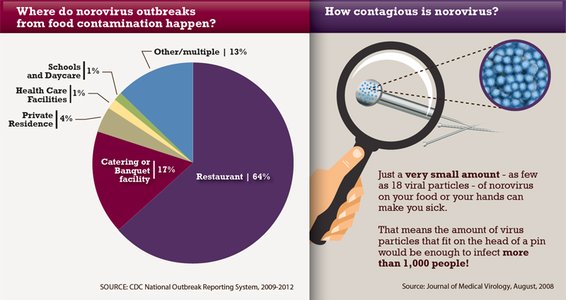 norovirus outbreak restaurant hygiene