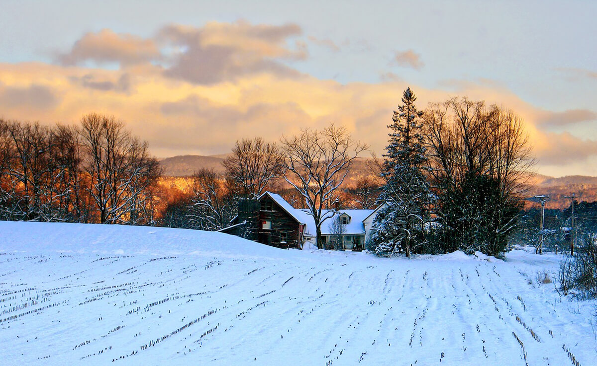 northeast winter landscape